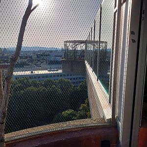 Haus des Meeres - Australien Erlebniswelt skywalk - Hanging aviary