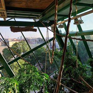 Haus des Meeres - Amazon rainforest