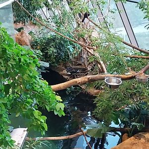 Haus des Meeres - Kroki park