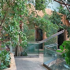 Haus des Meeres - Kroki park