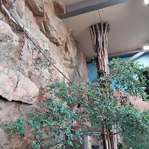 Haus des Meeres - Kroki park