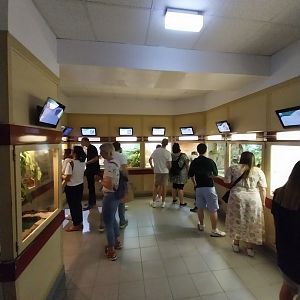 Haus des Meeres - Hall for venomous snakes