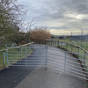 Hamerton, temporary fencing back at the Hyena enclosure