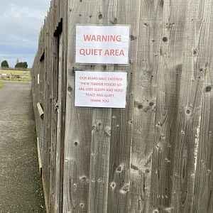 Hamerton, bears entering torpor