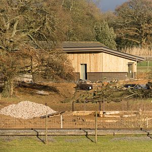 New monkey forest area, work in progress, ZSL Whipsnade, UK