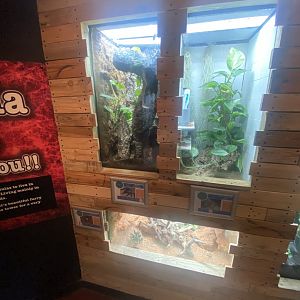 Venom - various invertebrate exhibits 251123