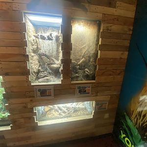 Venom - various invertebrate exhibits 251123