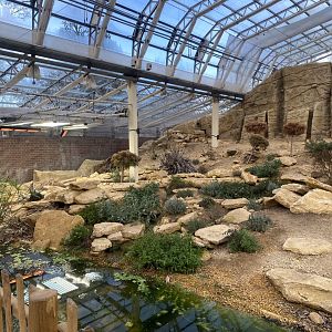 Thriving Through Nature 121223