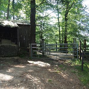 Hay storage, Zebu barn and zebu holding paddock, 2023-06-24