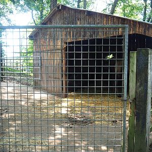 Bactrian camel barn and holding paddock, 2023-06-24