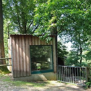 Black-crowned night heron and Western cattle egret barn, 2023-06-24