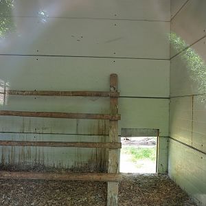 Black-crowned night heron and Western cattle egret indoor housing, 2023-06-24