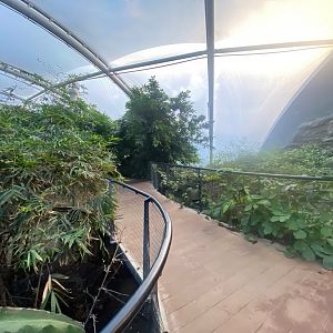 Tropical House 121223