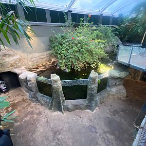 Tropical House 121223