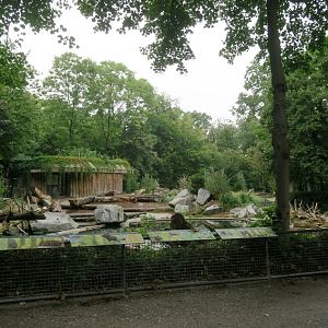 Enclosure of european brown bears