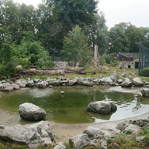 Enclosure for sibirian tigers