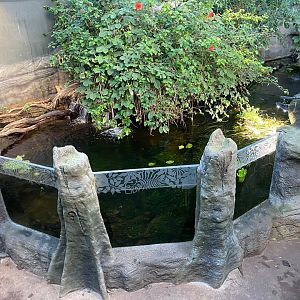 Tropical House 121223