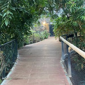 Tropical House 121223