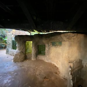 Tropical House 121223