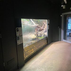 Tropical House - mixed exhibit 121223