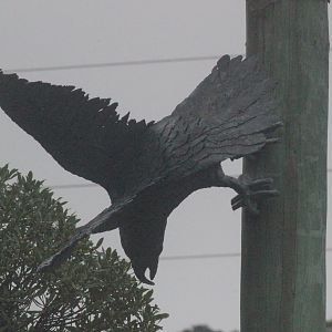 Sculpture of Kākā near entrance