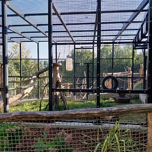 Gelada house - Seperation cage