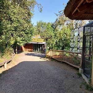 Visitor path with Gelada and Lion House