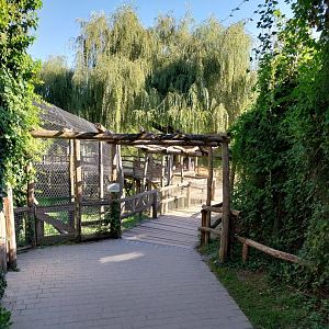 Visitor path African section