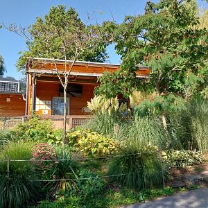 Lion House for second enclosure