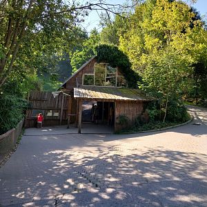Monkeyhouse (mandrill and grivet guenon)