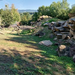 Gelada baboon enclosure