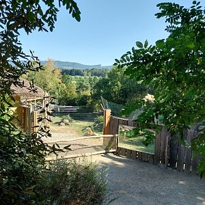 Gelada baboon enclosure