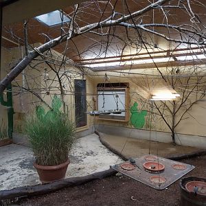 African walkthrough aviary - Winterroom