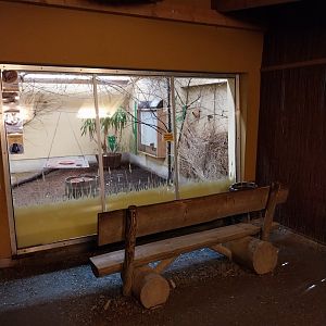 African walkthrough aviary - Winterroom