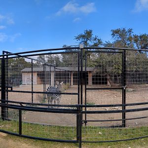 Pano of the Grevy's and Grants zebra and ostrich yards