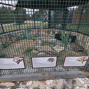 Three tortoise cage in front of the zoo beside the exit/gift shop.
