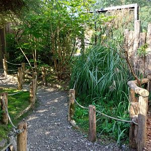 African walkthrough aviary - Songbird aviary