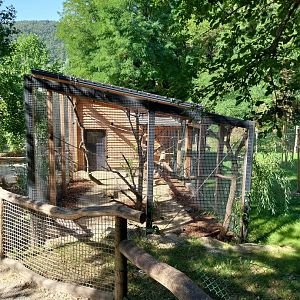 Laughing kookaburra & red-billed blue magpie aviary