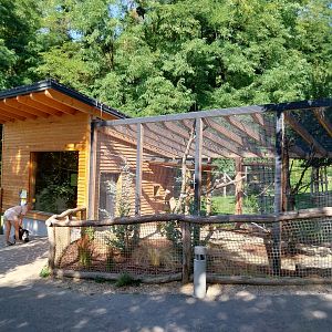 Laughing kookaburra & red-billed blue magpie aviary