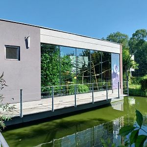 Black & white ruffed lemur pavillion