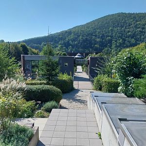 Black & white ruffed lemur pavillion