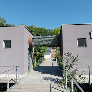 Black & white ruffed lemur pavillion - Connection skywalk