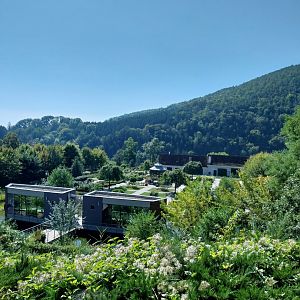 Black & white ruffed lemur pavillion