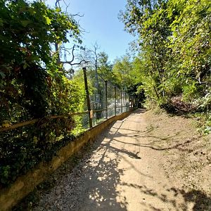 Steep visitor's path along Eurasian lynx enclosure