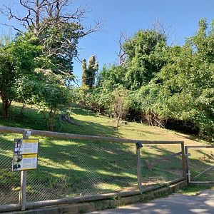 Vicunha & greater rhea enclosure