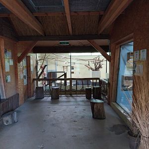 South America House - Public area