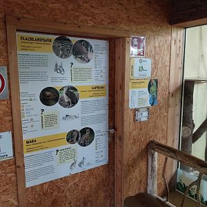 South America House - Species signs