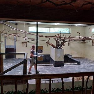 South America House - Tapir stable