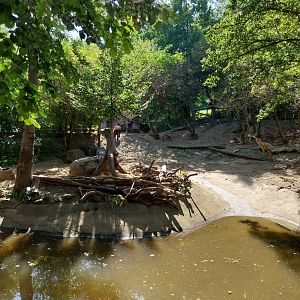 South America House - Mixed species enclosure