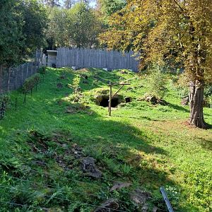 Spectacled bear enclosure